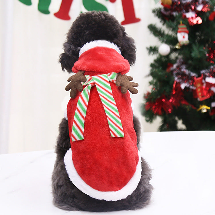 Christmas Poppy Dog   Tree Lovely Deer Sweater