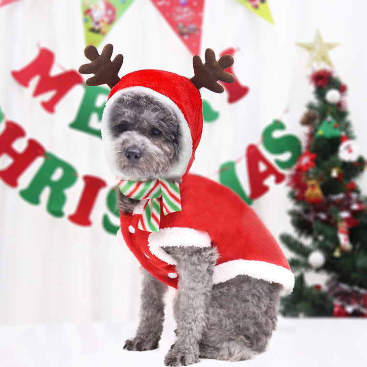 Christmas Poppy Dog   Tree Lovely Deer Sweater