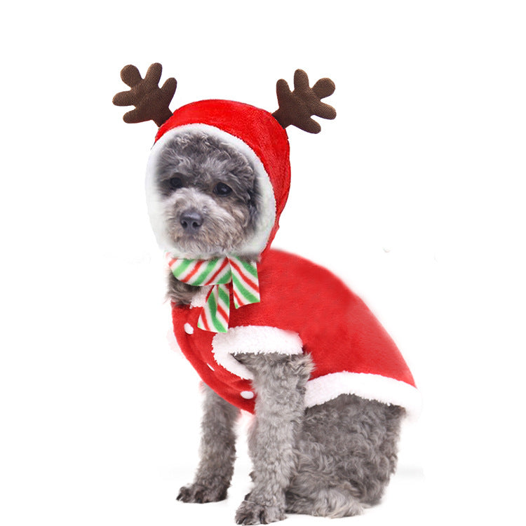 Christmas Poppy Dog   Tree Lovely Deer Sweater